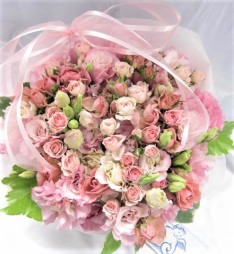 �o���A���V�A���T�X�Ȃ�