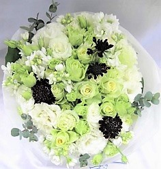 �o���A�X�J�r�I�T�Ȃ�