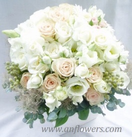 �o���A���V�A���T�X�Ȃ�