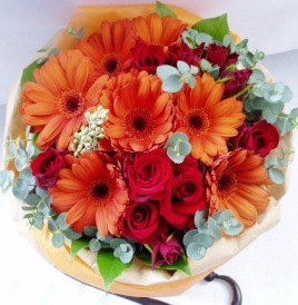 �o���A�K�[�x���Ȃ�