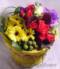 �K�N��K�[�x���Ȃ�