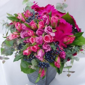 ����̃o���A�K�[�x���Ȃ�