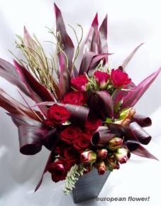 ��������̃J���[�ƃh���Z�i�Ȃ�