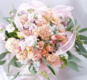 �o���A�J�[�l�[�V�����Ȃ�