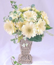 �K�[�x���Ȃ�